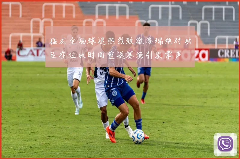 猛龙全场球迷热烈致敬洛瑞绝对功臣在垃圾时间重返赛场引发掌声