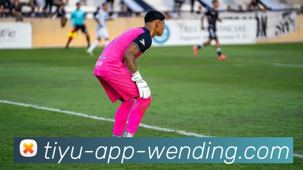 App Interface Preview