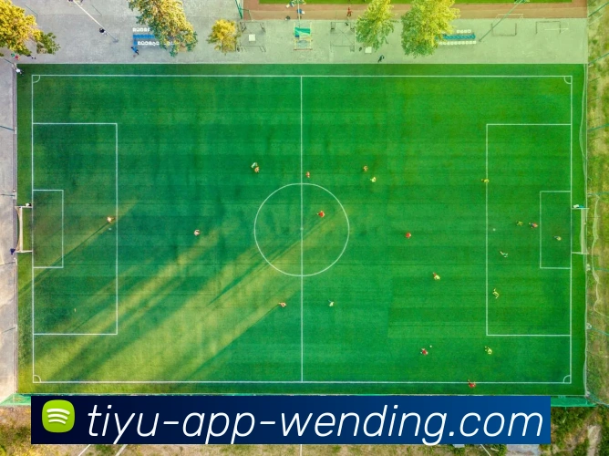 问鼎娱乐APP 封面图